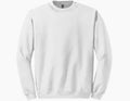 Youth and Adult Crewneck Sweater